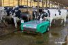 Obrazek Robot sprzątający JOZ Barn-e do odchodów zwierzęcych Fullwood JOZ Barne