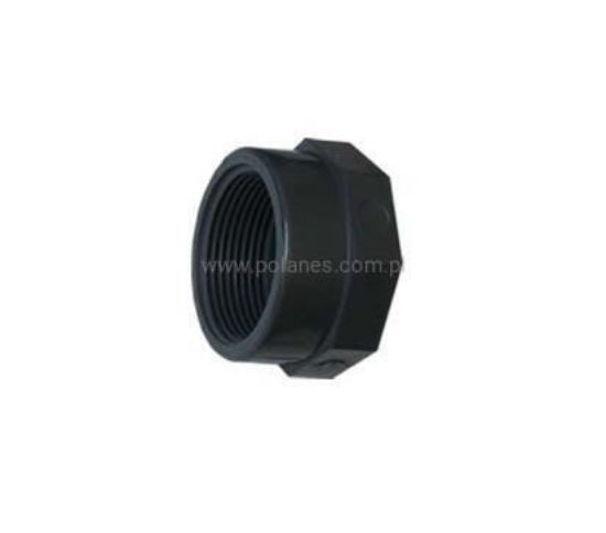 Obrazek Zaślepka PVC GW 2"